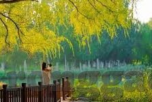 91麻豆精品国产自产在线观看一区-迷思与界限，优雅地审视91麻豆制品的独特魅力