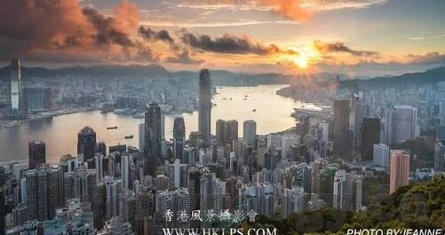 成人在线视频网-成人在线视频网，信息时代的文化边界与自我认知