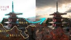 大象传媒有限公司法人-大象传媒有限公司，法人角色的深度剖析