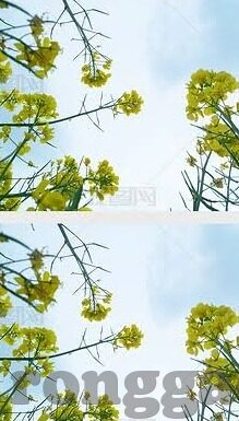 麻豆av 免费观看-挖掘专属影像世界，麻豆av免费观影的乐趣与平衡