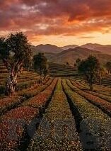麻豆约拍app总结-麻豆约拍APP体验观察与个人感想