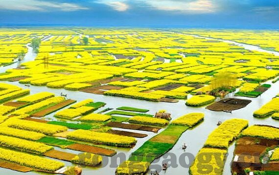 手机的秘密潘甜甜果冻传媒-手机的秘密，潘甜甜果冻传媒的数字迷宫