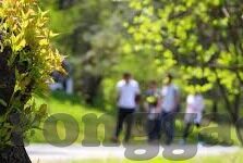 糖心app兑换码2022年-2022糖心app兑换码，探索新潮数字世界的特别邀请