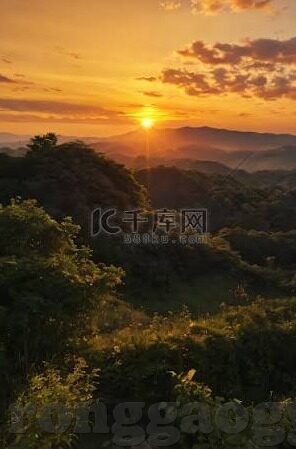 糖心柯德app-糖心柯德app，智能生活与个性化服务的交汇点
