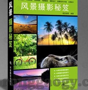 同性女女伦理片-探索性别与情感边界，同性女女伦理片的多维视角