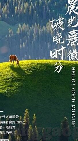 迅雷哥伦理片-迅雷哥与伦理片，网络文化中的灰色地带